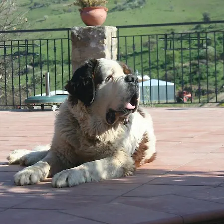 팜스테이 Lo Scudiero Di San Teodoro