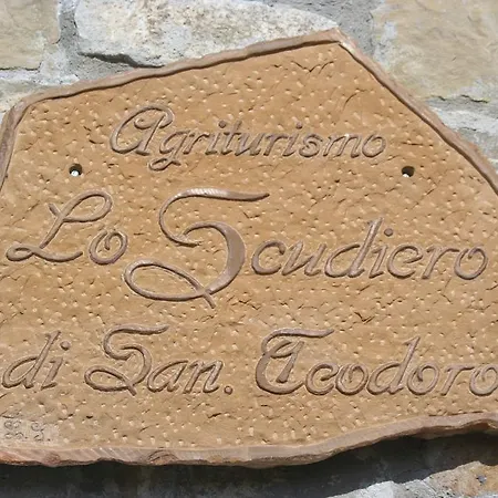 Lo Scudiero Di San Teodoro Cesarò