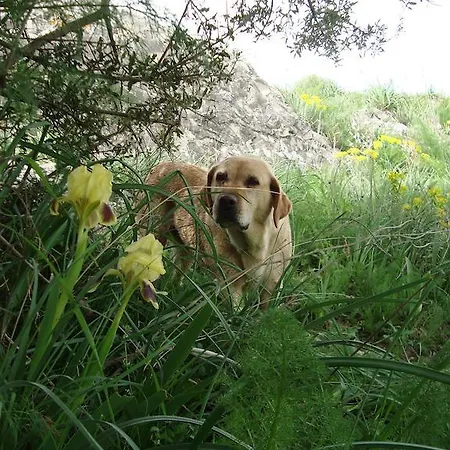 팜스테이 Lo Scudiero Di San Teodoro