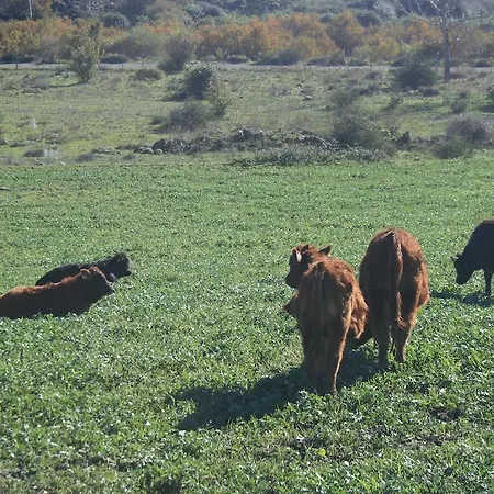 팜스테이 Lo Scudiero Di San Teodoro