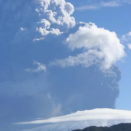 팜스테이 Lo Scudiero Di San Teodoro *