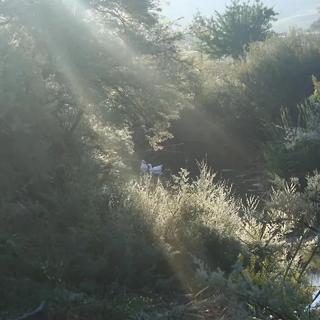 Lo Scudiero Di San Teodoro