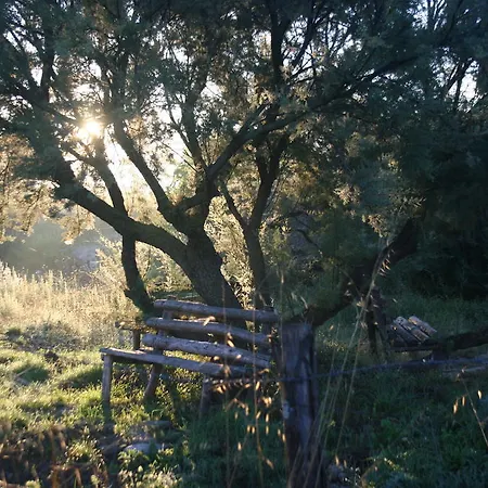 Lo Scudiero Di San Teodoro Cesarò