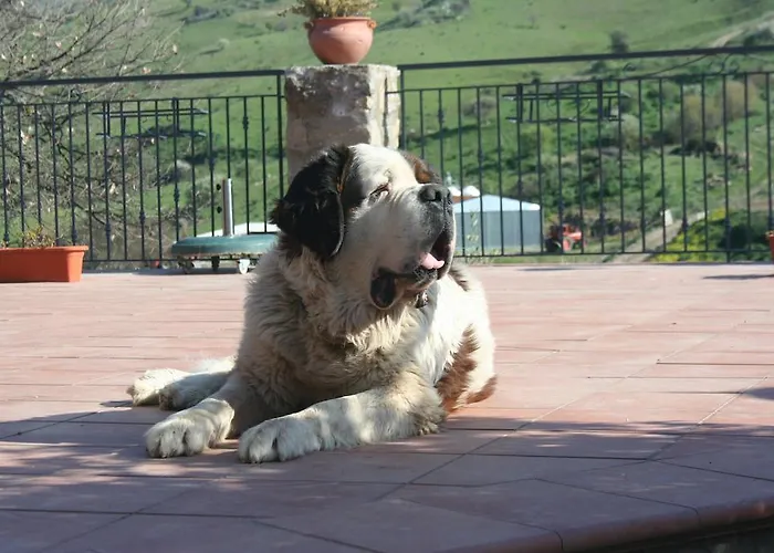 Farma Lo Scudiero Di San Teodoro
