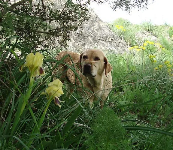 Farma Lo Scudiero Di San Teodoro