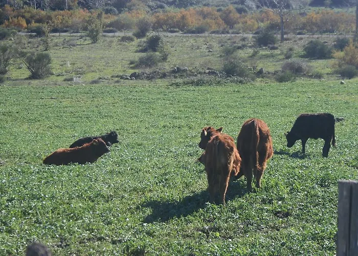 Farma Lo Scudiero Di San Teodoro