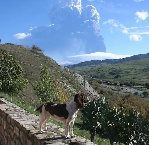 Farma Lo Scudiero Di San Teodoro
