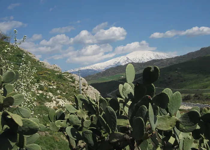 Farma Lo Scudiero Di San Teodoro